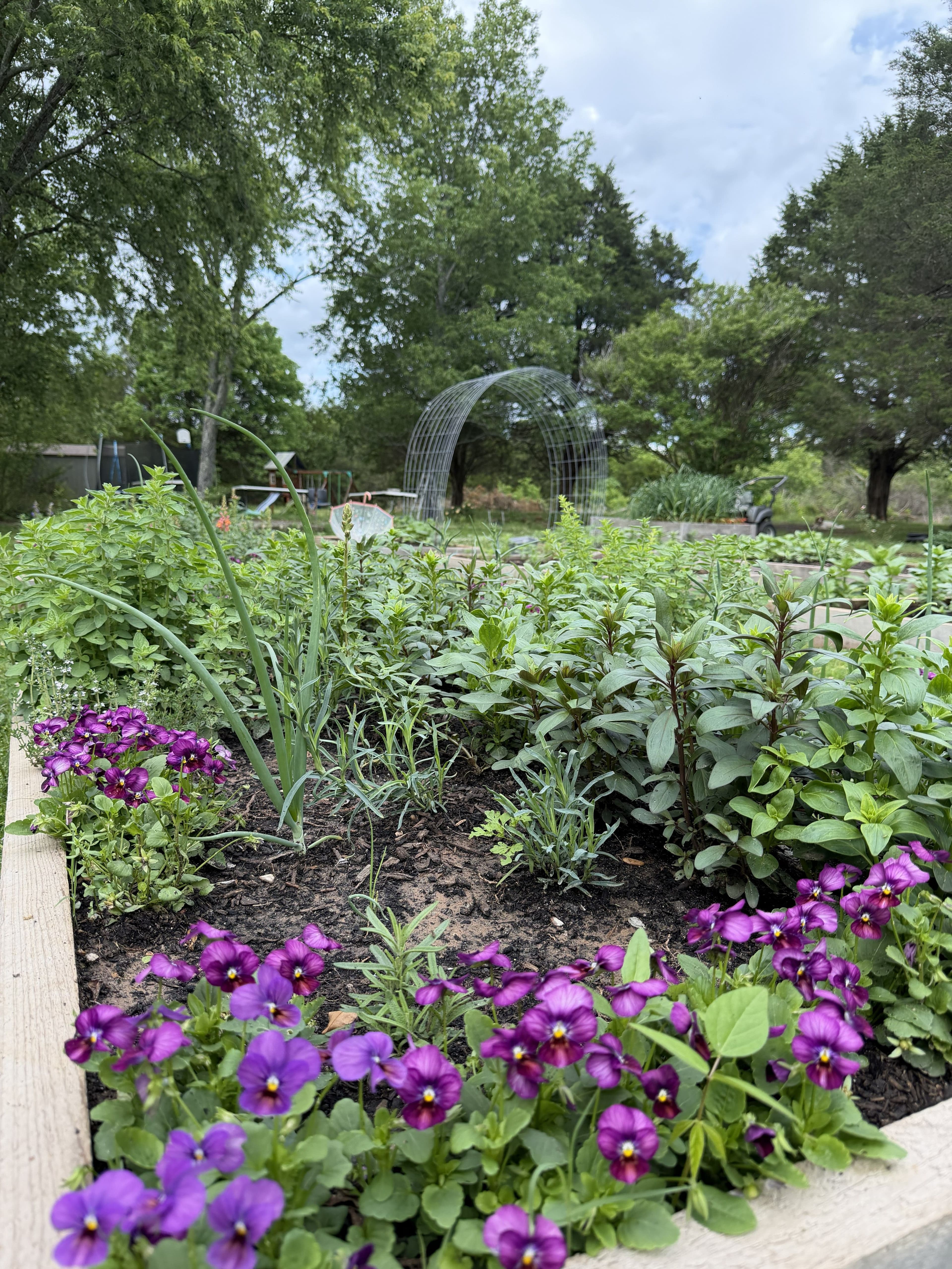 Garden