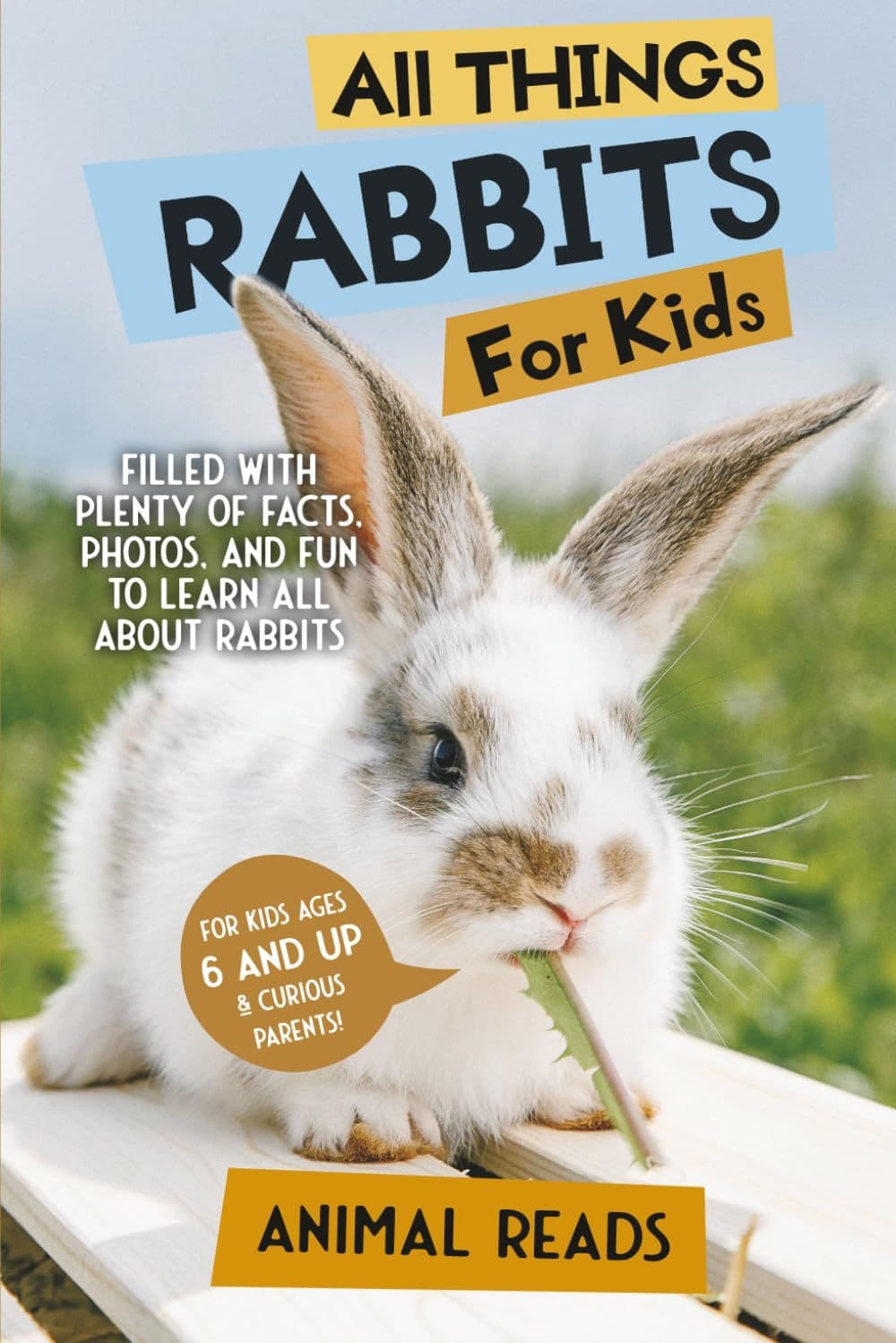 All Things Rabbits For Kids Book